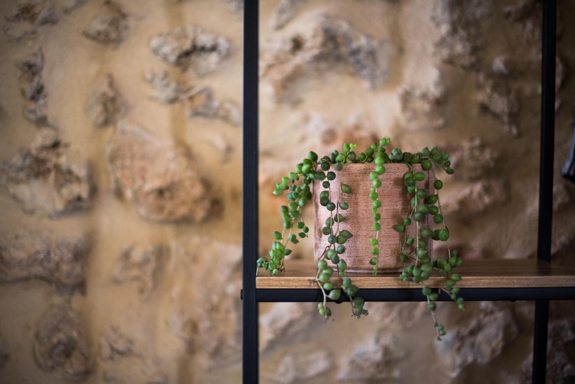 Agriturismo Casalino18 Tognazza Екстериор снимка
